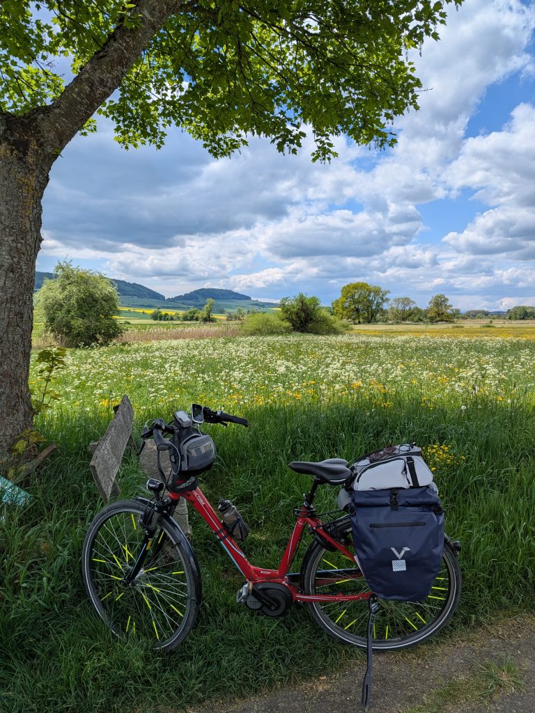 Wiesen mit Butterblumen